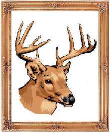 Whitetail Logo